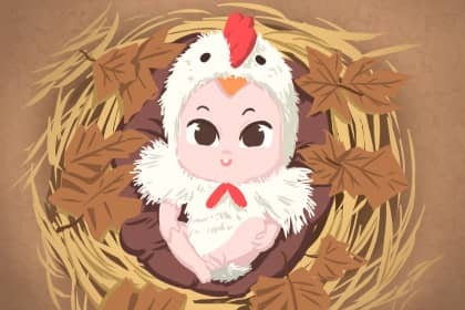 万年历 黄历万年历 万年历农历查询