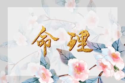 日历查询|日历吉时|在线日历